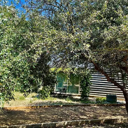 Les Logis Du Pech Konukevi Narbonne