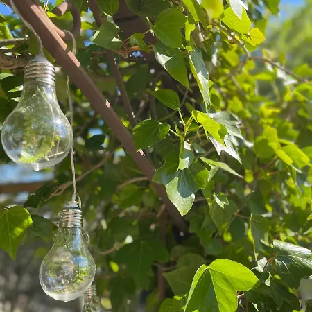 Konukevi Les Logis Du Pech Narbonne